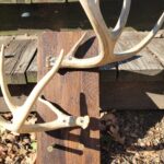 4570 antler 1